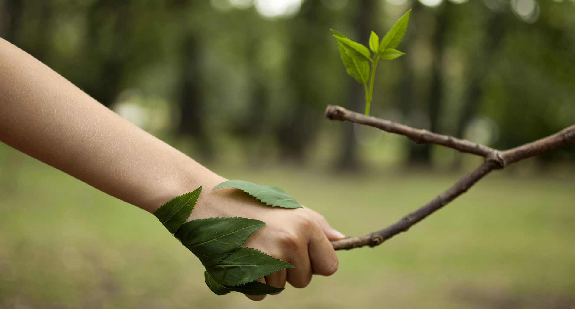 Recicla en casa:  ¡Ayudemos al medioambiente y a nuestros recicladores!