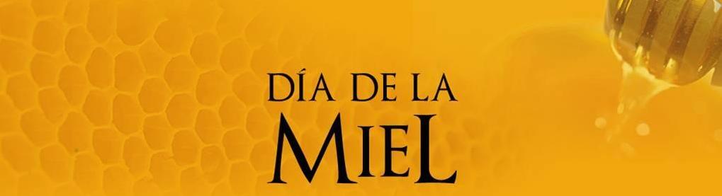 Día Nacional de la Miel: La importancia de la Apicultura