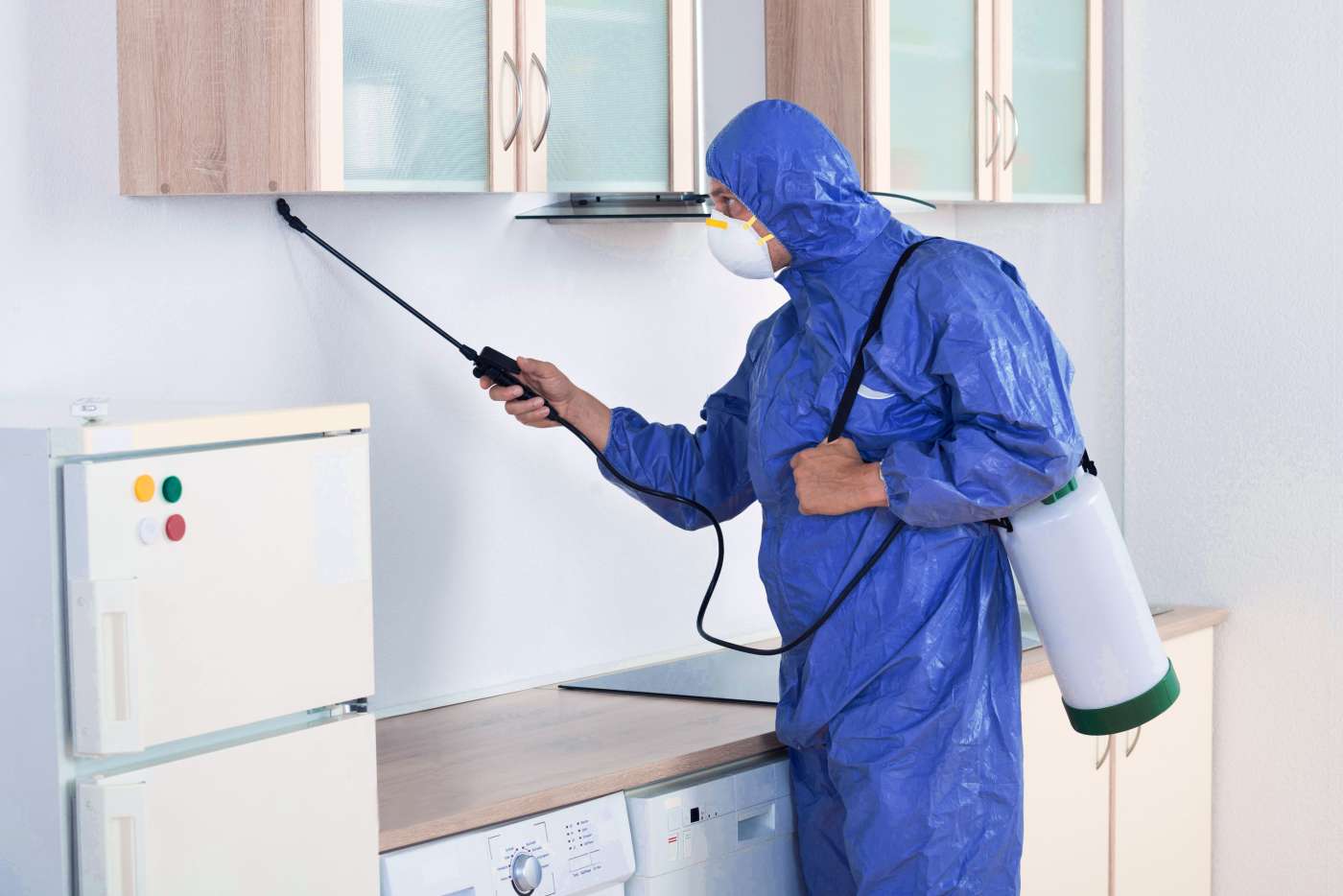 Mantis Plagas y su nuevo servicio de purificadores y sanitizadores de aire