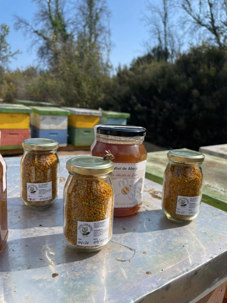 Emprendedor de Tiltil cambió la construcción por la apicultura