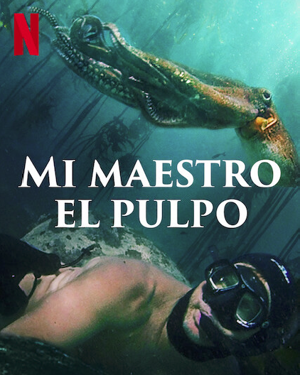 mi maestro pulpo
