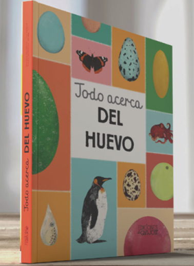 Todo acerca del huevo
