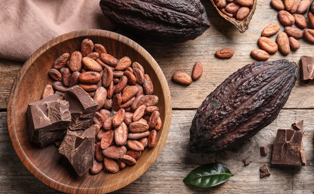 Día Mundial del Cacao