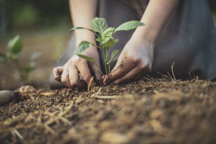 Nestlé anunció plan global de apoyo a la transición hacia un sistema alimentario regenerativo