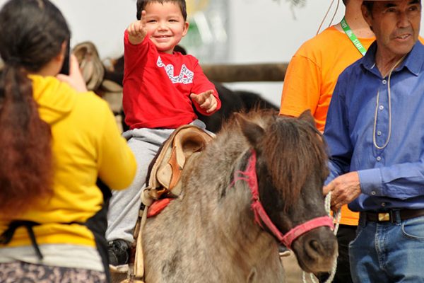 Feria costumbrista Club ecuestre piedra roja 2022