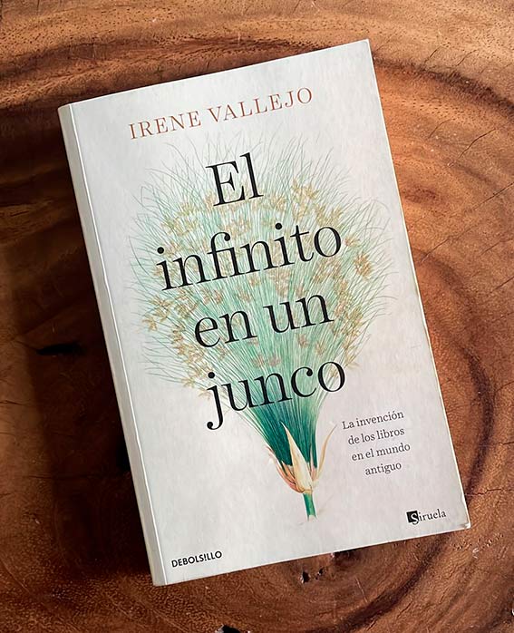 El infinito en un junco de Irene Vallejo