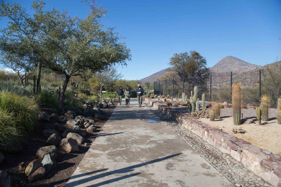 Panoramas familiares para este verano santiaguino