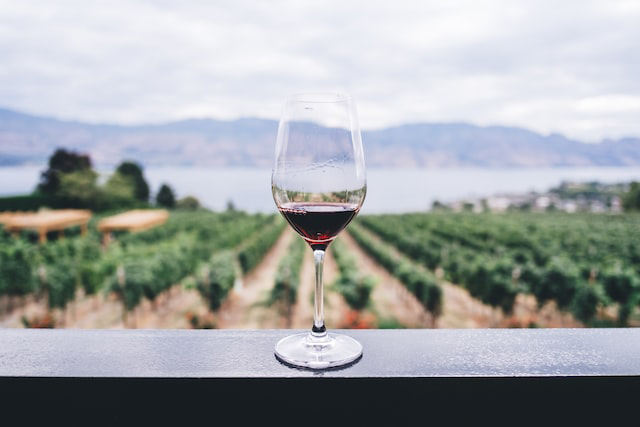EL VINO COMO PROTAGONISTA INDISCUTIDO EN LAS REUNIONES