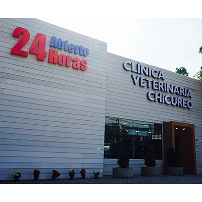 Revista VDS Chicureo Clínica Veterinaria Chicureo
