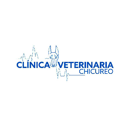 Revista VDS Chicureo Clinica Veterinaria Chicureo