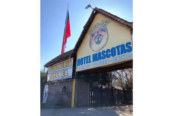 Revista VDS Chicureo Alto Pet Veterinaria