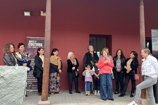 Revista VDS Chicureo Colectivo "Búsquedas" y Colectivo "Mujeres en la prensa"