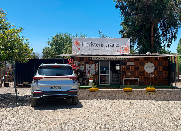Revista VDS Chicureo, Floristería Azalea para el día de los enamorados