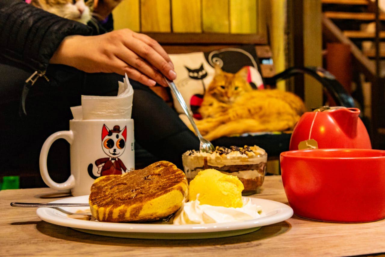 Revista VDS Chicureo, El Mundo de Dalí CatCafé