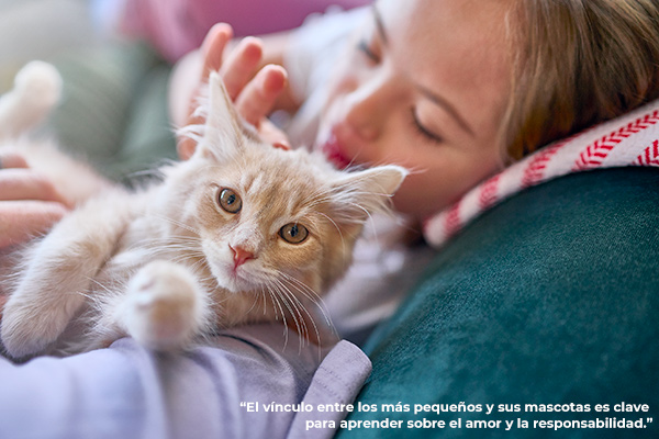 Revista VDS Chicureo, ESTERILIZAR Y ADOPTAR, EL DESAFÍO EN ESTE MES DE LOS GATOS